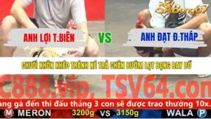 TRẬN 15 CPC5 NGÀY 24/11/2025