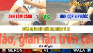 TRẬN 16 CPC5 NGÀY 20/11/2025