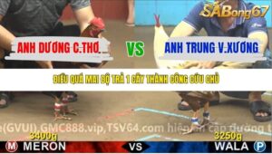 TRẬN 17 CPC4 NGÀY 11/11/2025