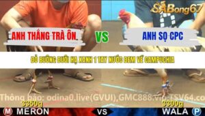 TRẬN 17 CPC4 NGÀY 12/11/2025