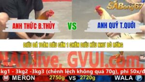 TRẬN 17 CPC5 24/11/2025