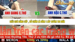 TRẬN 17 CPC5 NGÀY 12/11/2025