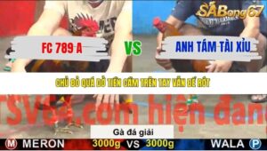 TRẬN 17 CPC5 NGÀY 20/11/2025