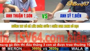 TRẬN 17 CPC5 NGÀY 9/11/2025
