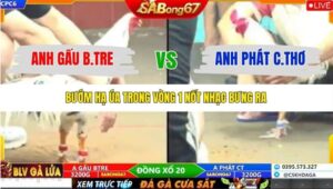 TRẬN 17 CPC6 4/11/2025