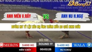 TRẬN 17 TONHON 2/11/2025