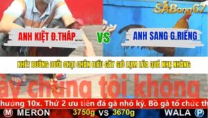 TRẬN 18 CPC5 NGÀY 15/11/2025