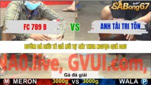 TRẬN 18 CPC5 NGÀY 20/11/2025