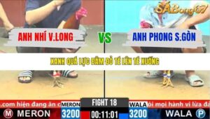 TRẬN 18 CPC6 3/11/2025