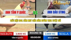 TRẬN 18 TONHON NGÀY 14/11/2025