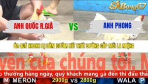 TRẬN 19 CPC5 NGÀY 15/11/2025
