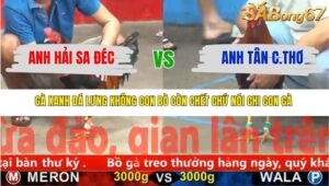 TRẬN 19 CPC5 NGÀY 19/11/2025