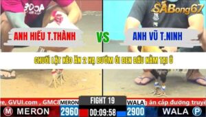 TRẬN 19 CPC6 3/11/2025