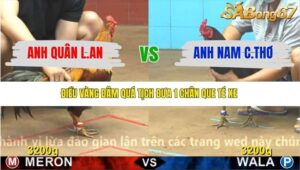 TRẬN 2 CPC4 NGÀY 20/11/2025