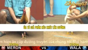 TRẬN 2 CPC4 NGÀY 24/11/2025