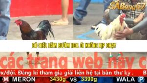 TRẬN 2 CPC5 NGÀY 25/11/2025