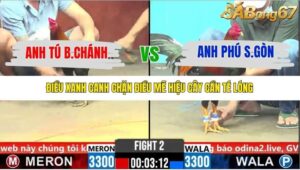 TRẬN 2 CPC6 1/11/2025