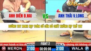 TRẬN 2 CPC6 5/11/2025