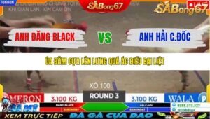 TRẬN 3 TONHON 2/11/2025