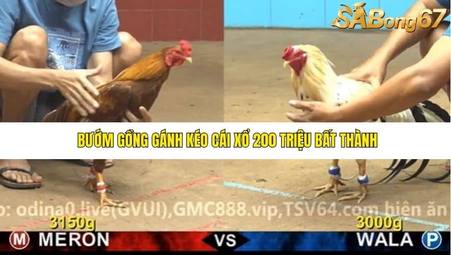 TRẬN 20 CPC4 NGÀY 25/11/2025