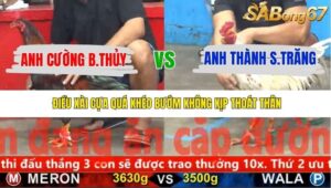 TRẬN 20 CPC5 24/11/2025