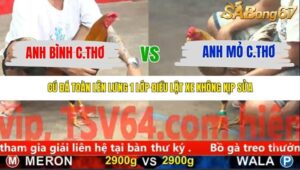 TRẬN 20 CPC5 8/11/2025