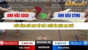 TRẬN 20 TONHON 2/11/2025