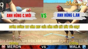 TRẬN 21 CPC4 25/11/2025