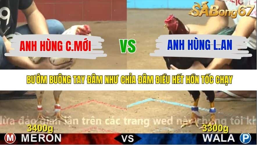 TRẬN 21 CPC4 25/11/2025