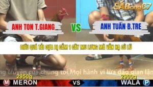 TRẬN 21 CPC4 NGÀY 18/11/2025