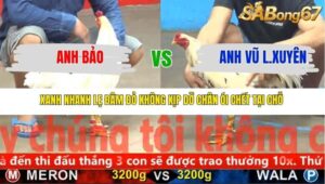 TRẬN 21 CPC5 NGÀY 17/11/2025