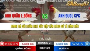 TRẬN 21 TONHON 2/11/2025