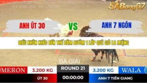 TRẬN 21 TONHON NGÀY 14/11/2025