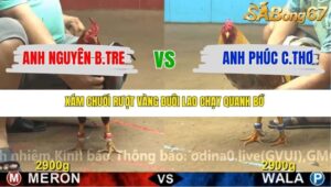 TRẬN 22 CPC4 NGÀY 17/11/2025