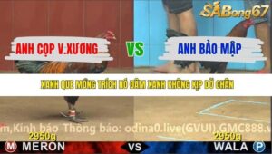 TRẬN 22 CPC4 NGÀY 21/11/2025