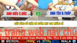 TRẬN 23 CPC5 25/11/2025