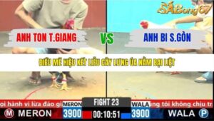 TRẬN 23 CPC6 5/11/2025