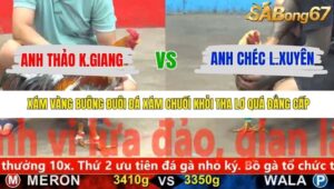 TRẬN 24 CPC5 25/11/2025