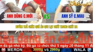 TRẬN 24 CPC5 8/11/2025