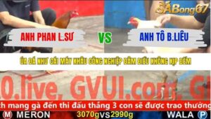 TRẬN 24 CPC5 NGÀY 10/11/2025