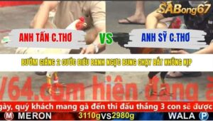 TRẬN 24 CPC5 NGÀY 11/11/2025