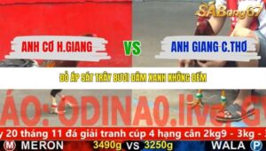 TRẬN 24 CPC5 NGÀY 9/11/2025