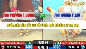 TRẬN 24 CPC6 3/11/2025