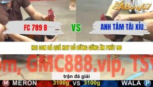 TRẬN 25 CPC5 NGÀY 20/11/2025