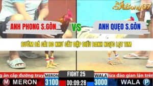 TRẬN 25 CPC6 3/11/2025