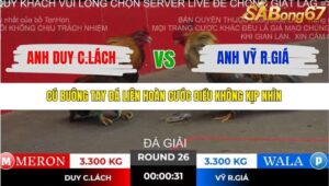 TRẬN 26 TONHON 2/11/2025