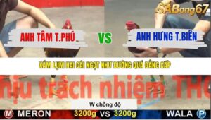 TRẬN 27 CPC5 NGÀY 16/11/2025