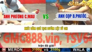 TRẬN 27 CPC5 NGÀY 20/11/2025