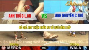 TRẬN 28 CPC4 24/11/2025