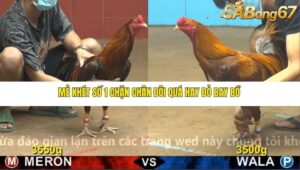 TRẬN 28 CPC4 NGÀY 18/11/2025